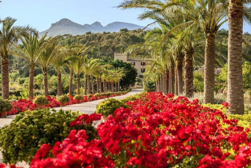 The grand arrival at Castell Son Claret´s - Luxury Hotels Mallorca
