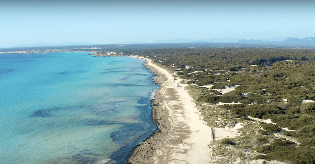 Es Trenc Beach Mallorca 